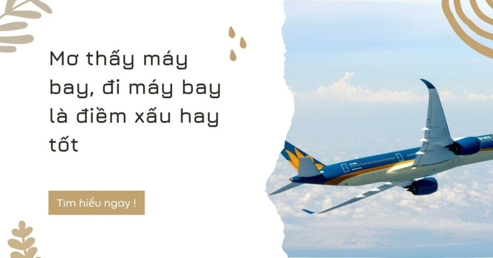 Ngủ mơ thấy máy bay báo hiệu điềm gì?