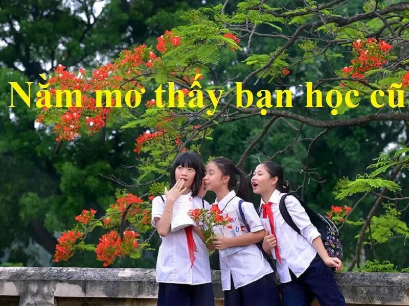 Nằm mơ thấy người bạn hồi đi học nhưng lâu rồi chưa hỏi thăm