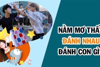 Nằm mơ thấy đánh lộn thì chơi con gì ăn to?