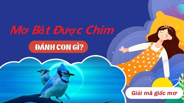 Nằm mơ bắt được chim đánh con gì trúng lớn?